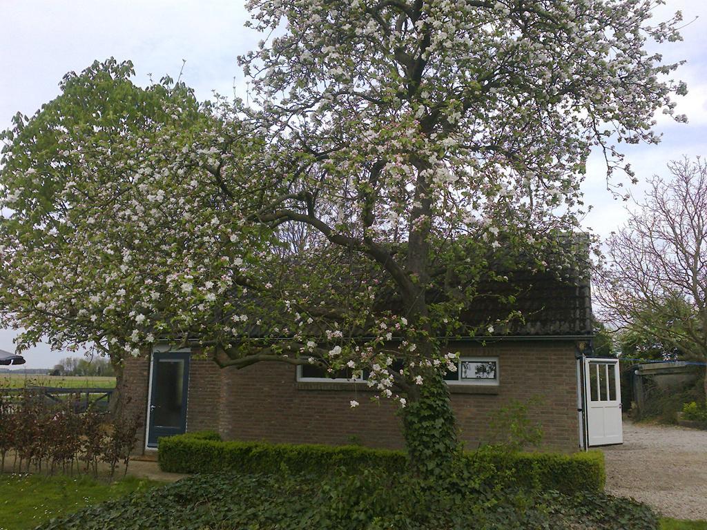 Holiday Cottage De Garage Inn Hank Exteriör bild